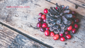 Wintery scene with a pinecone surrounded by red berries on a wooden table